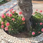 John & Jenny's Small Village Agios Andreas (Messenia)