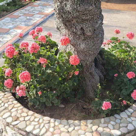 John & Jenny's Small Village Agios Andreas (Messenia)