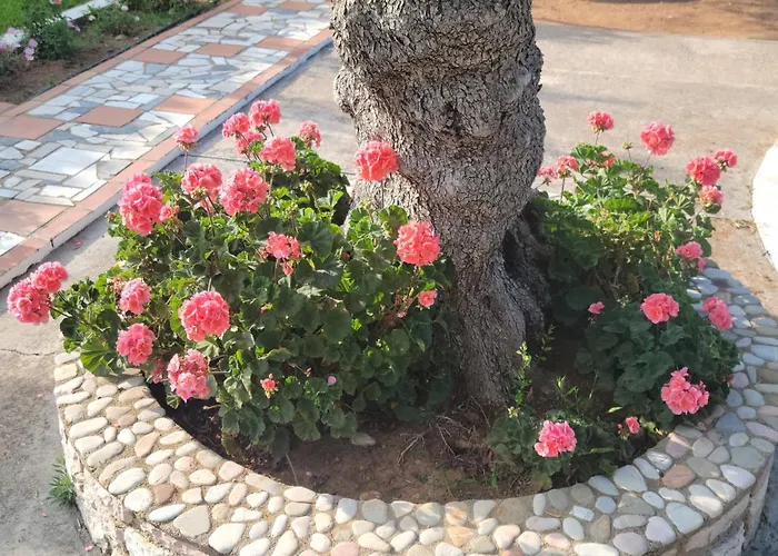 John & Jenny's Small Village Agios Andreas (Messenia)